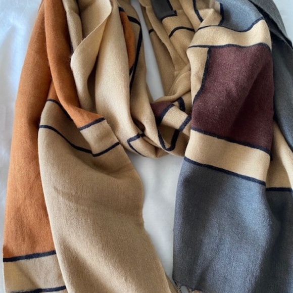 Feather light, pumpkin, camel, chocolate brown & gray pashmina color block scarf - Picture 6 of 11